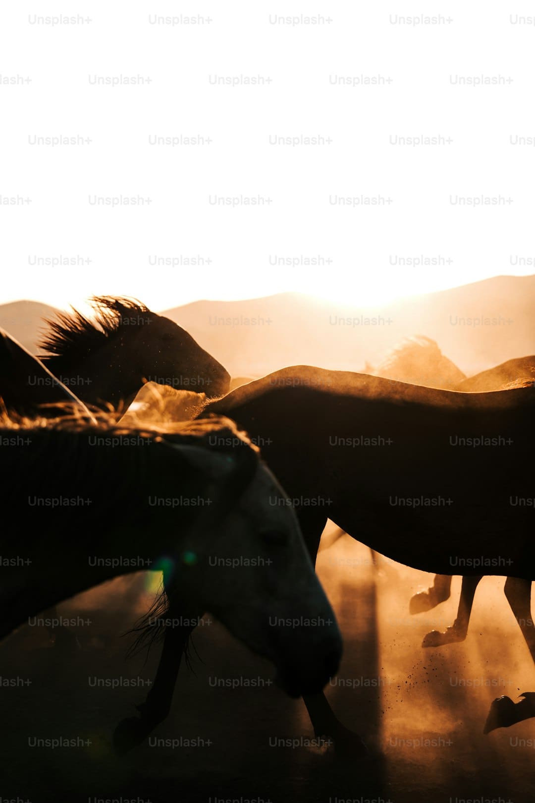 http://n.sinaimg.cn/news/transform/w600h400/20180309/WMYq-fxpwyhw1812483.png